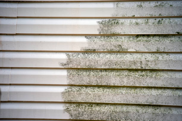 Affordable Siding Repair and Maintenance Services in Cordova, AL